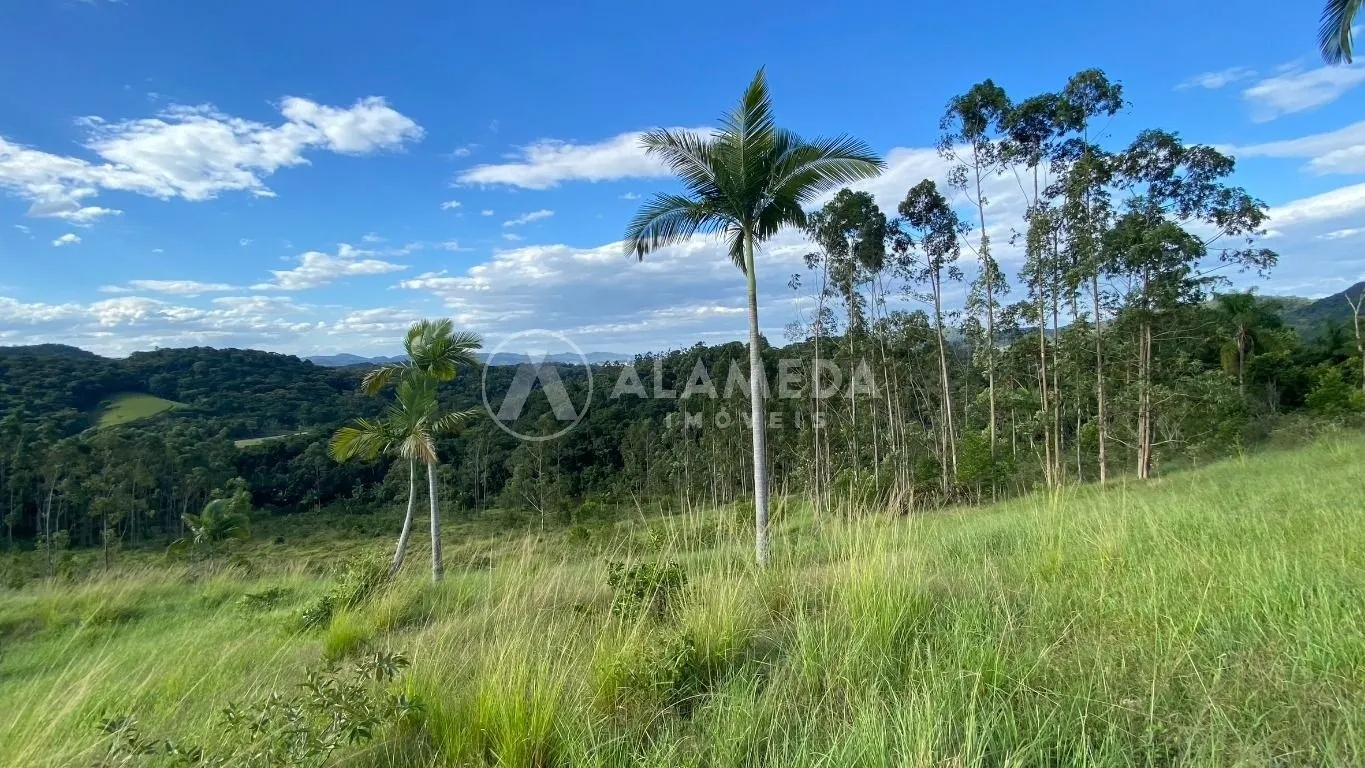 Terreno à venda em Gaspar com 85.000m no bairro Gasparinho. — foto 3