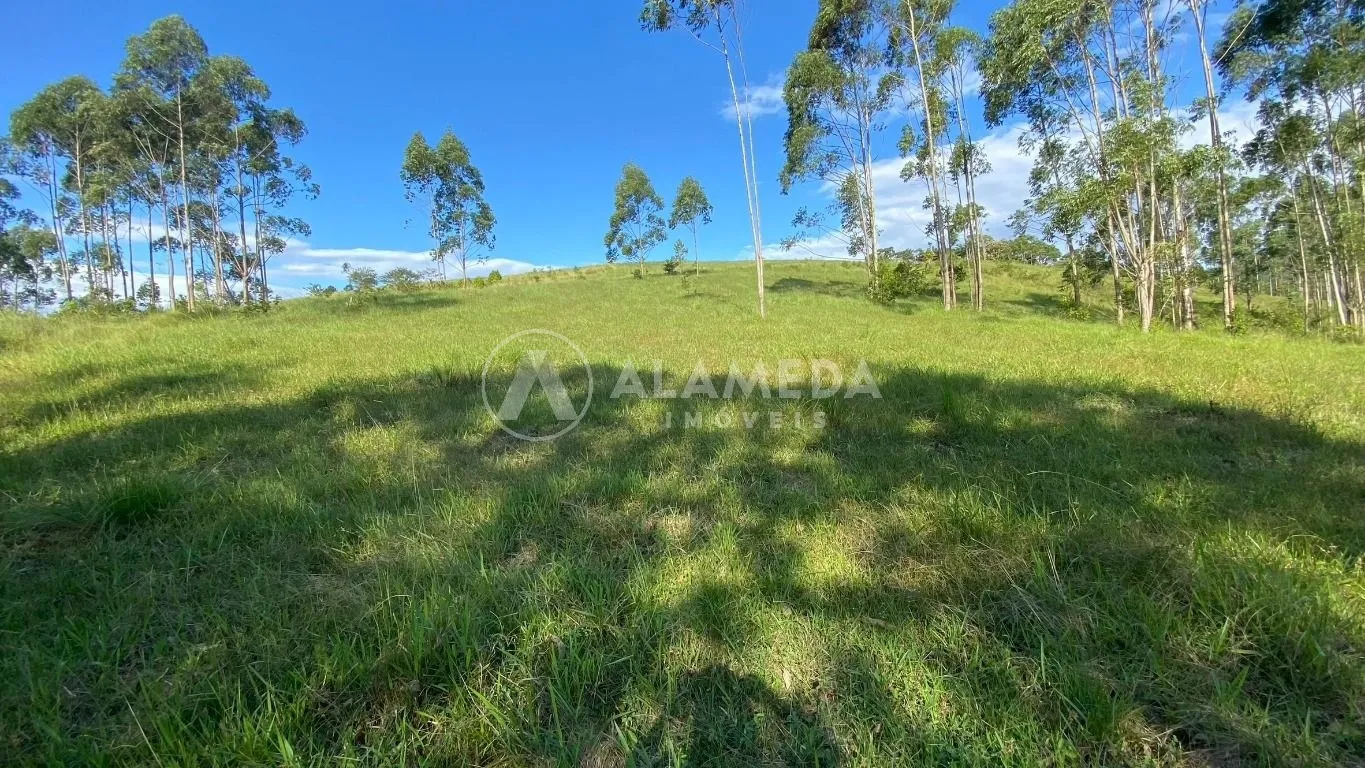 Terreno à venda em Gaspar com 85.000m no bairro Gasparinho. — foto 5
