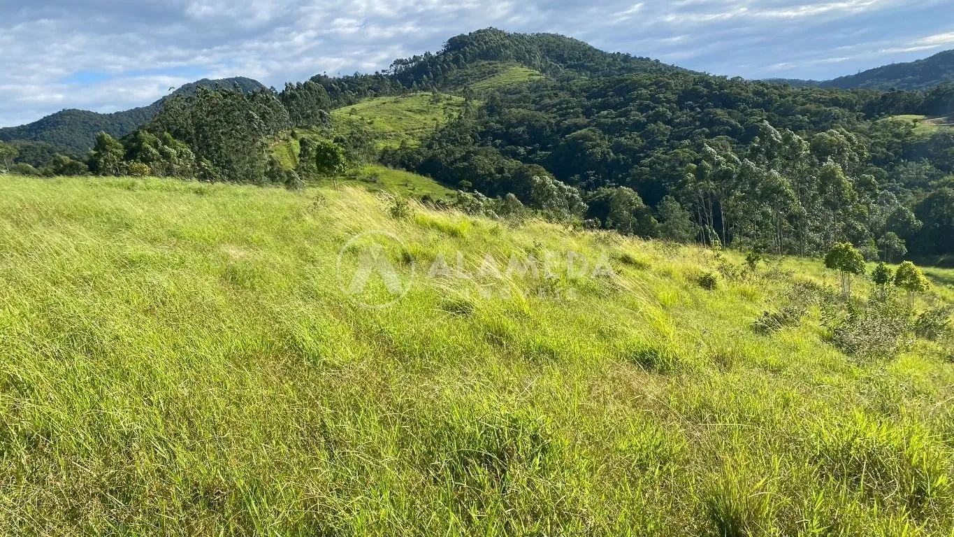Terreno à venda em Gaspar com 85.000m no bairro Gasparinho. — foto 6