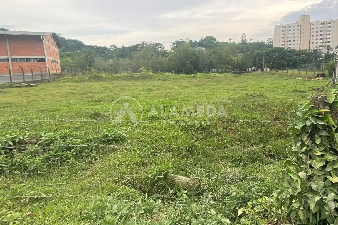 Terreno à venda em Blumenau no Bairro Itoupava Central. - foto 1