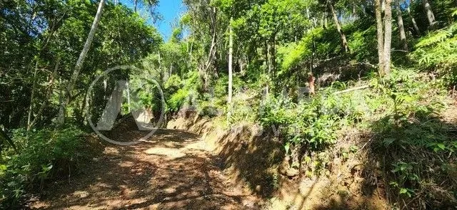 TERRENO RURAL À VENDA EM BLUMENAU. — foto 3