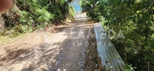 TERRENO RURAL À VENDA EM BLUMENAU. — foto 4
