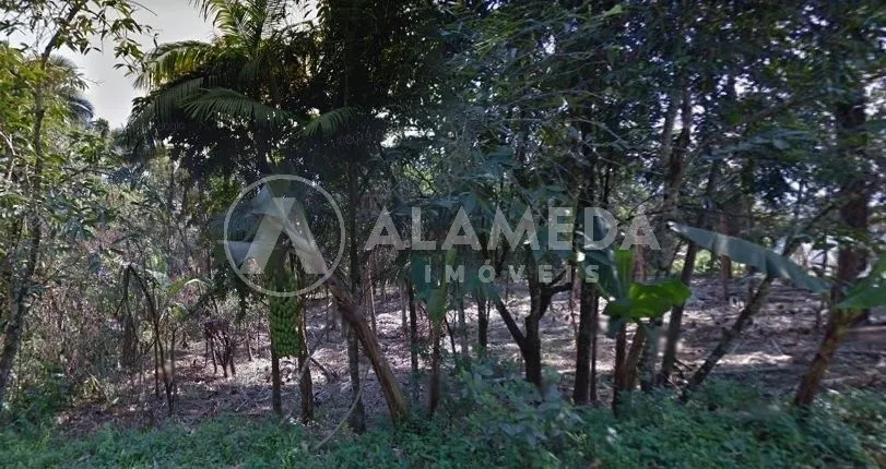 TERRENO À VENDA NO BAIRRO VELHA CENTRAL - foto 1