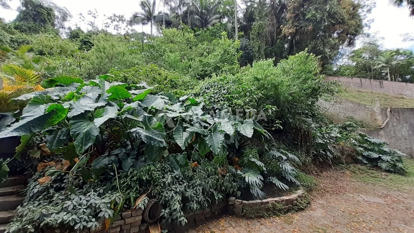 Terreno à venda no bairro Itoupava Seca. — foto 2