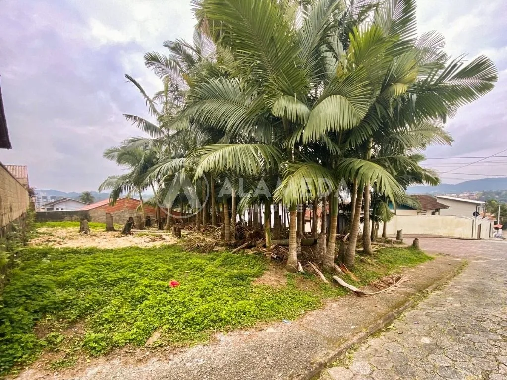 TERRENO DE ESQUINA À VENDA NO BAIRRO FORTALEZA. - foto 1