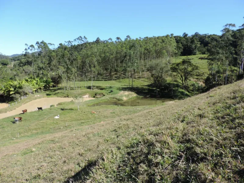 Belíssimo Sítio em Pomerode, Vale do Selke com área de 93.685 metros quadrados, com casa de alvenaria e rancho, 2 lagoas, área de pastagem . — foto 5