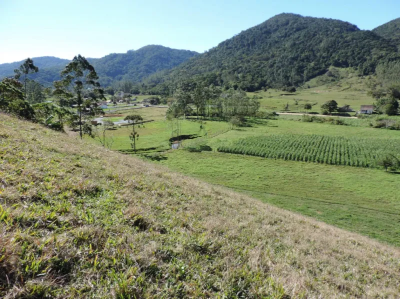 Belíssimo Sítio em Pomerode, Vale do Selke com área de 93.685 metros quadrados, com casa de alvenaria e rancho, 2 lagoas, área de pastagem . — foto 6