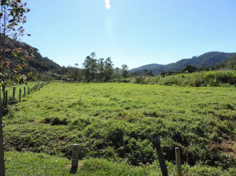 Belíssimo Sítio em Pomerode, Vale do Selke com área de 93.685 metros quadrados, com casa de alvenaria e rancho, 2 lagoas, área de pastagem . — foto 7