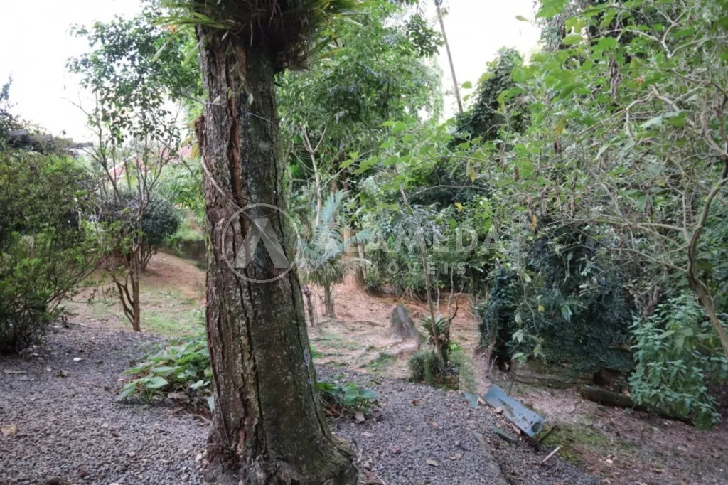 Casa em estilo enxaimel com dois lotes de terreno. — foto 5