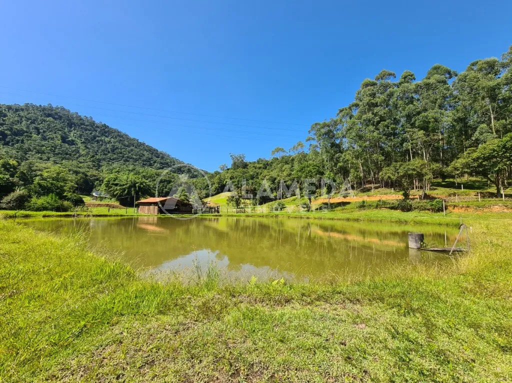 Excelente sítio no Mulde em Timbó com 70.836m, a 6km do Centro de Timbó. - foto 1