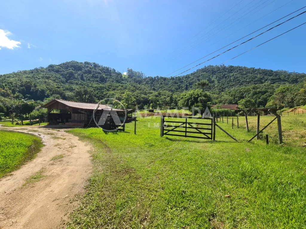 Excelente sítio no Mulde em Timbó com 70.836m, a 6km do Centro de Timbó. — foto 4