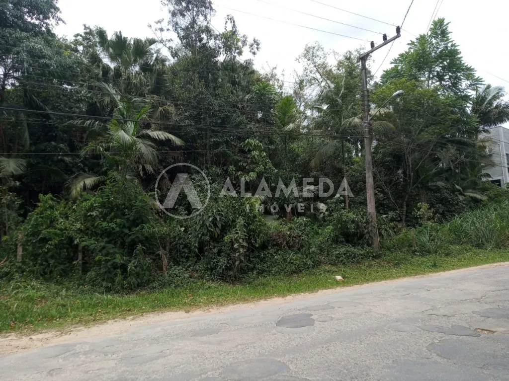 Terreno na Velha Grande com 40.139 m ZR2, ZC2 e ZPA frente em 42 metros — foto 3
