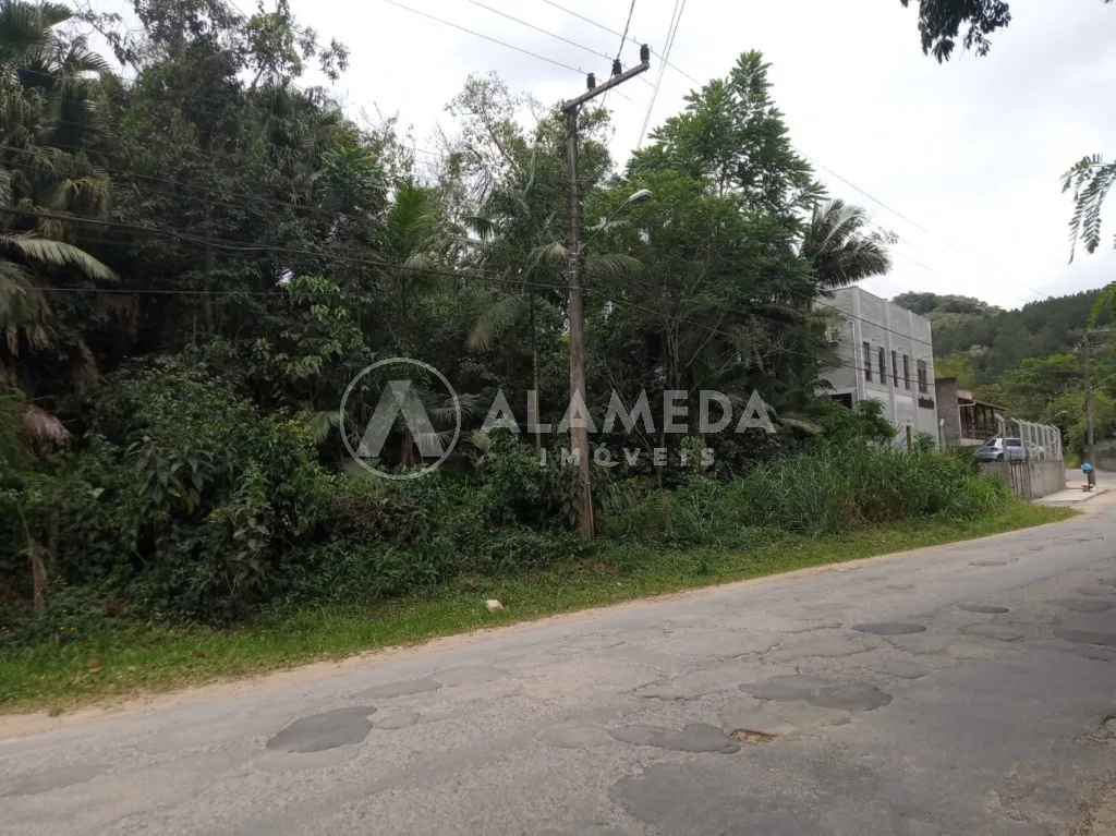 Terreno na Velha Grande com 40.139 m ZR2, ZC2 e ZPA frente em 42 metros — foto 4