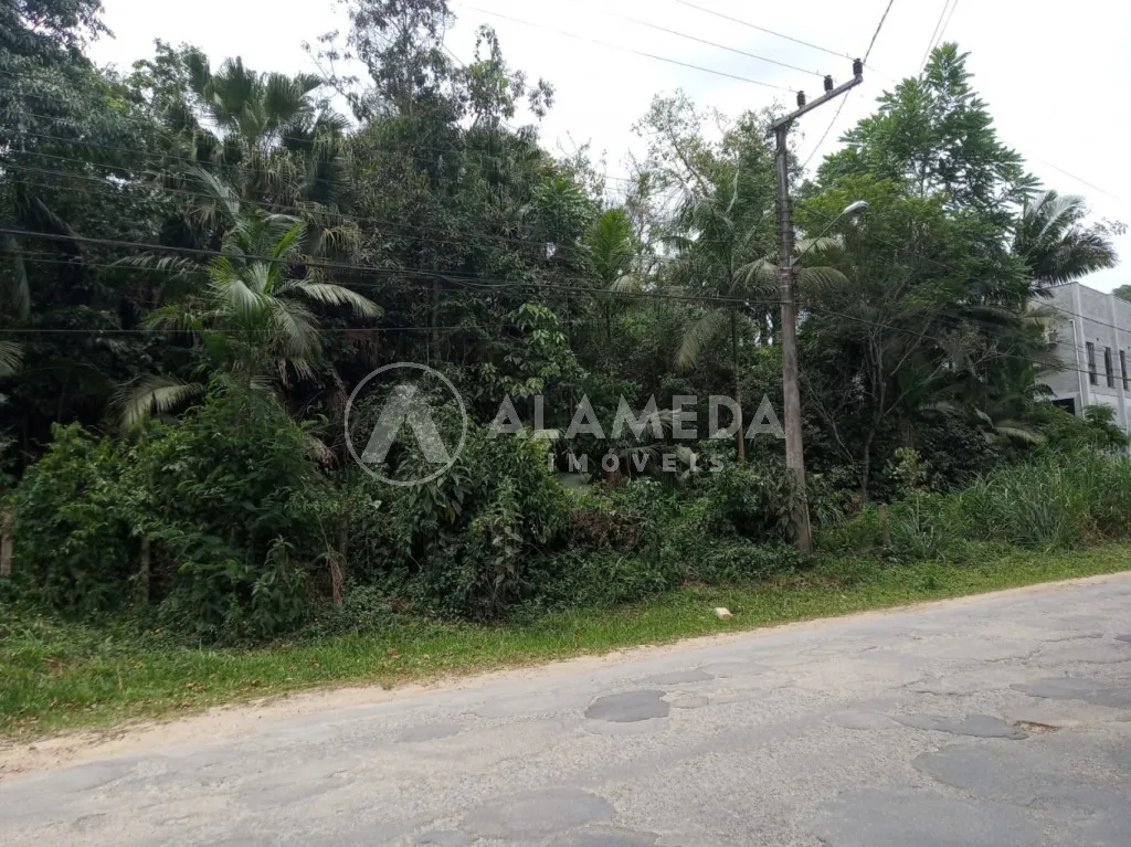 Terreno na Velha Grande com 40.139 m ZR2, ZC2 e ZPA frente em 42 metros — foto 5