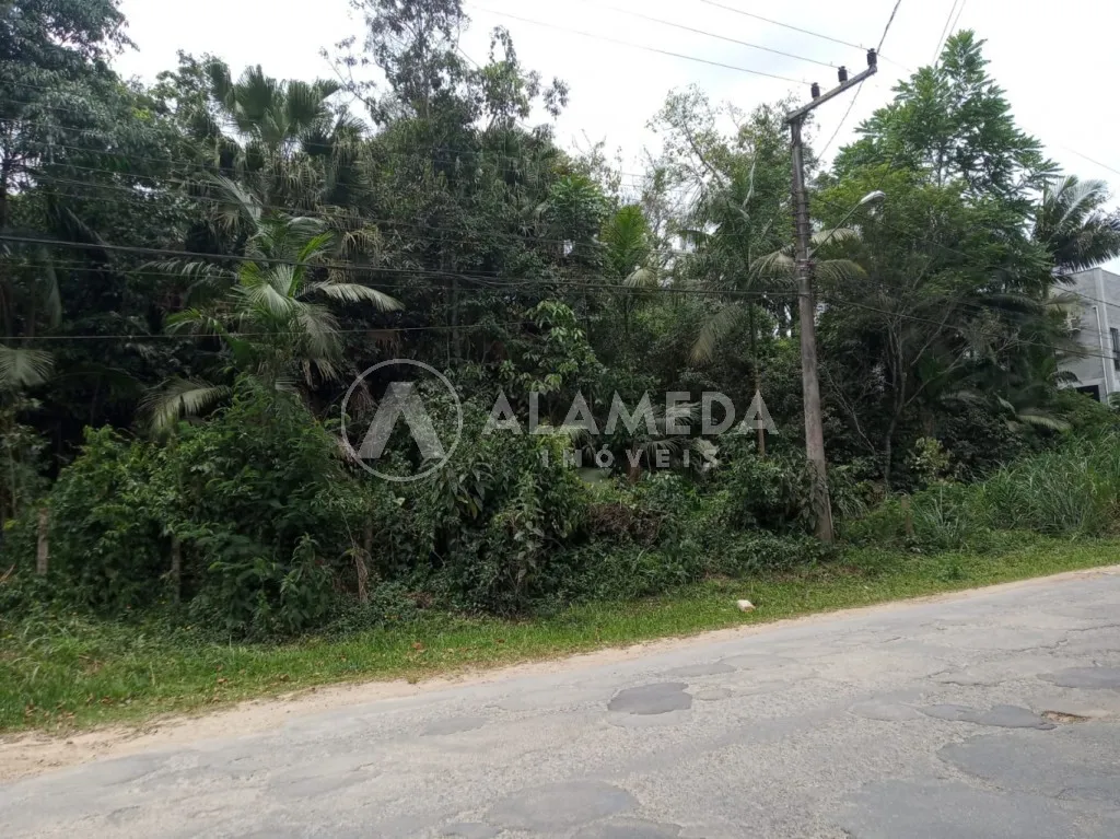 Terreno na Velha Grande com 40.139 m ZR2, ZC2 e ZPA frente em 42 metros — foto 6
