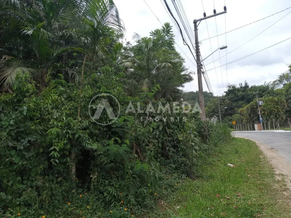 Terreno na Velha Grande com 40.139 m ZR2, ZC2 e ZPA frente em 42 metros — foto 7