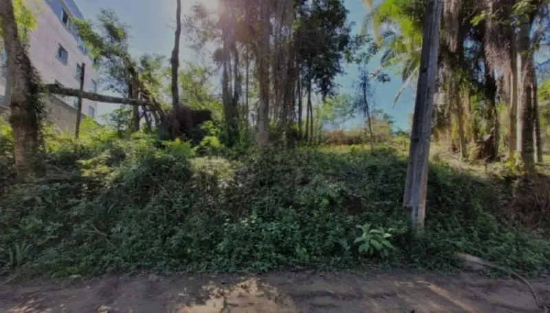 Oportunidade Única de terreno com 715,92m de área, no bairro da Velha em Blumenau! — foto 5
