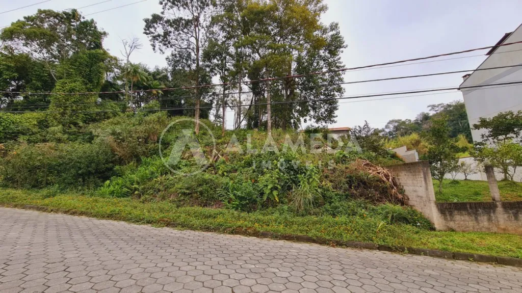 Terreno no Bairro Salto Waissbach, medindo 979,00 m, Zona Industrial - Corredor de Serviço 2, com 60,% ocupação e 2,4% de coeficiente, frente para 2 Ruas. — foto 6