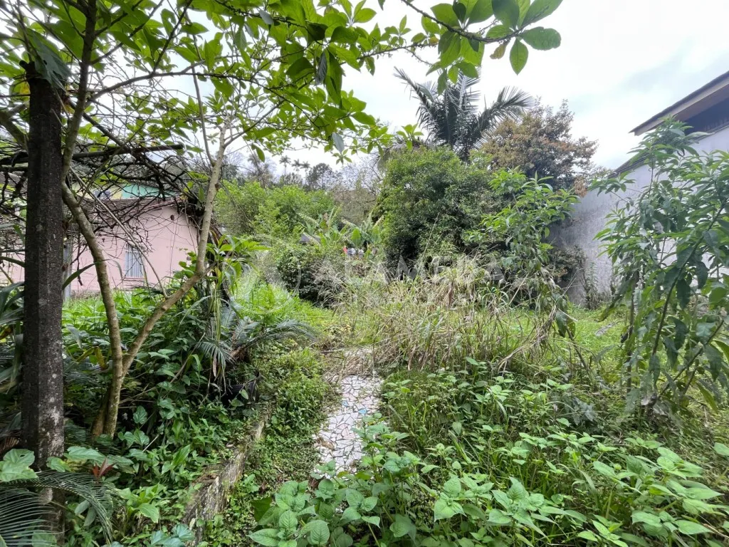 Magnífica Casa com amplo terreno localizada no inicio do bairro Centro Blumenau/SC. — foto 6
