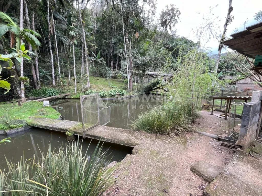 Chácara com 3.167,00 m2, na Itoupava Central em Blumenau - foto 1