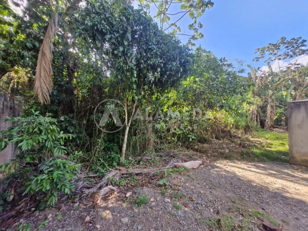 Terreno localizado próximo ao centro em transversal da Rua Pastor Oswald Hesse, bairro Ribeirão Fresco, em Blumenau. — foto 3