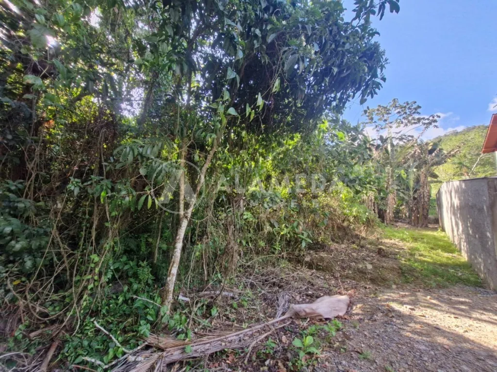 Terreno localizado próximo ao centro em transversal da Rua Pastor Oswald Hesse, bairro Ribeirão Fresco, em Blumenau. — foto 4