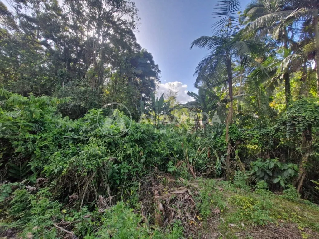Terreno localizado próximo ao centro em transversal da Rua Pastor Oswald Hesse, bairro Ribeirão Fresco, em Blumenau. — foto 5