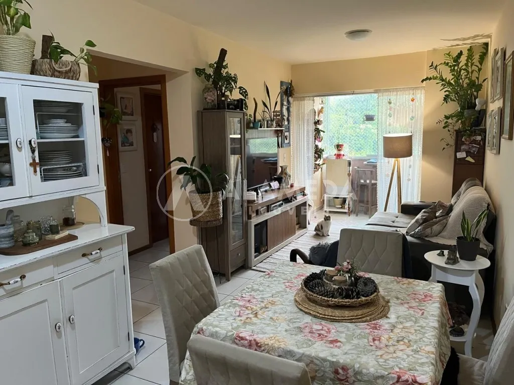 Apartamento disponível para venda no bairro Velha - Blumenau/SC. - foto 1