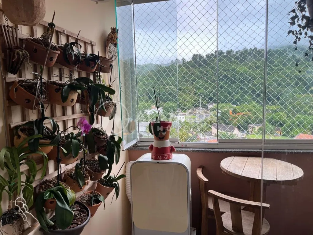 Apartamento disponível para venda no bairro Velha - Blumenau/SC. — foto 4
