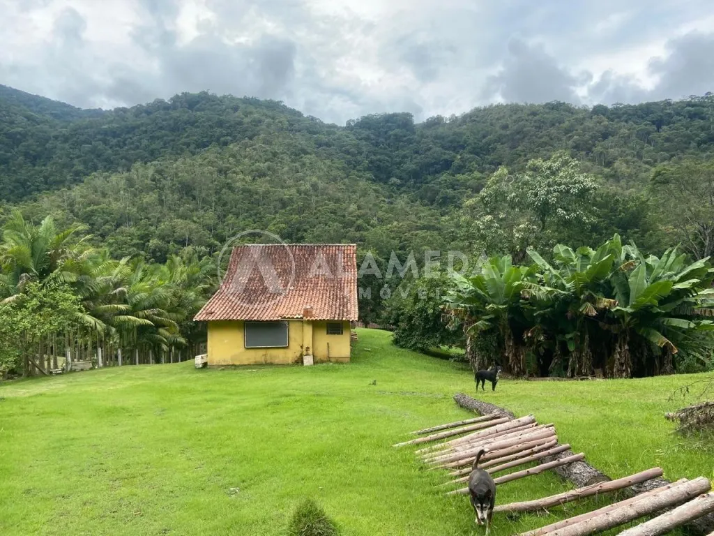 Chácara à venda com 50.000m e Escritura Pública, unindo história e natureza preservada entre Blumenau e Indaial. Um lugar para investir em ecoturismo, lazer, pousadas, moradia ou qualquer empreendimento que valorize o meio ambiente e a cultura local. - foto 1