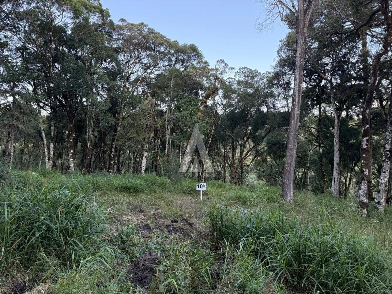 Terreno com 20.227,7m à venda em Campo Alegre-SC por R$1.079.000,00. - foto 1
