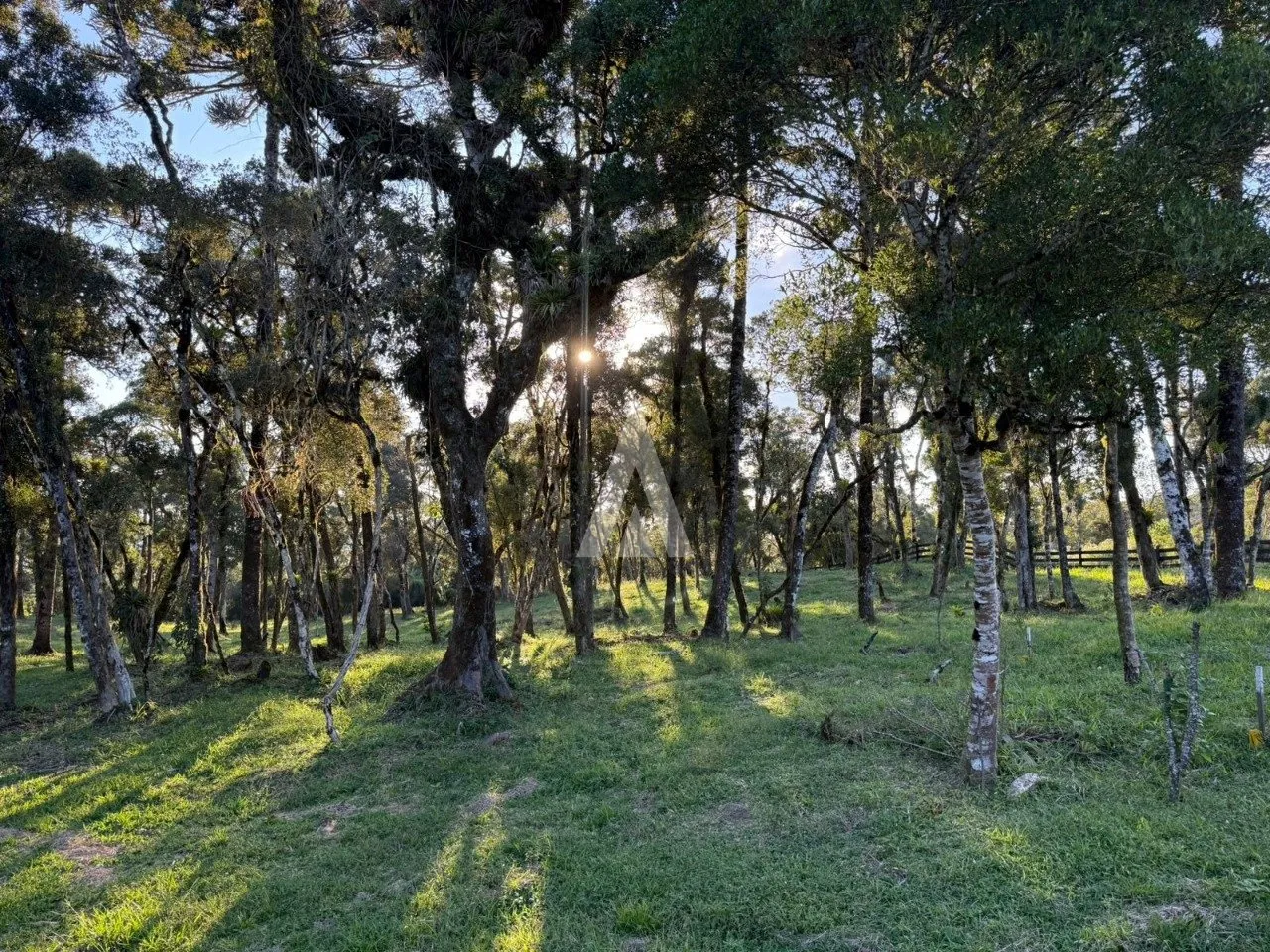 Terreno com 20.500m à venda no bairro Campo Alegre em Joinville-SC por R$1.300.000,00. — foto 2