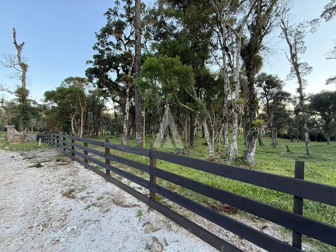 Terreno com 20.500m à venda no bairro Campo Alegre em Joinville-SC por R$1.300.000,00. — foto 4