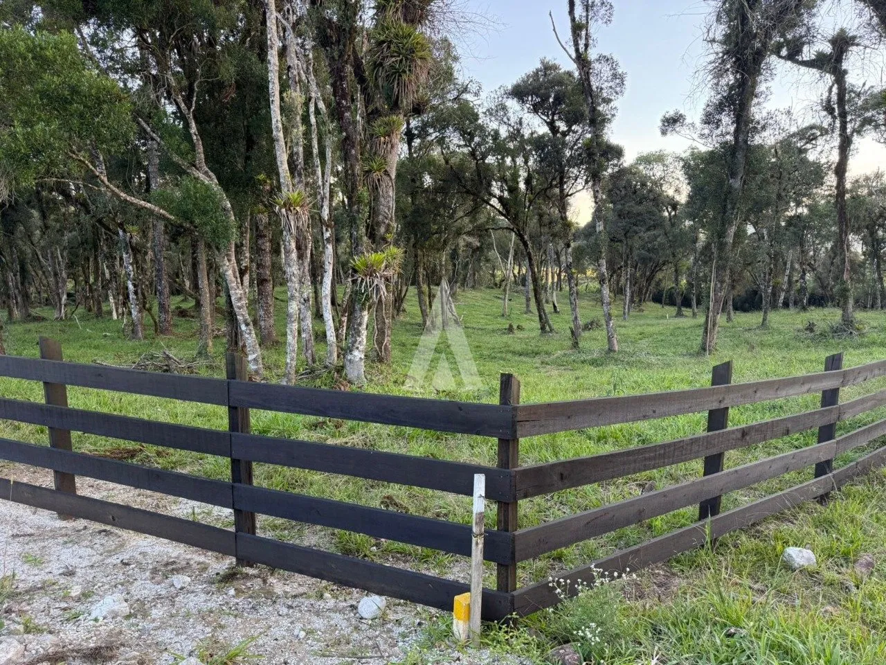 Terreno com 20.500m à venda no bairro Campo Alegre em Joinville-SC por R$1.300.000,00. — foto 5