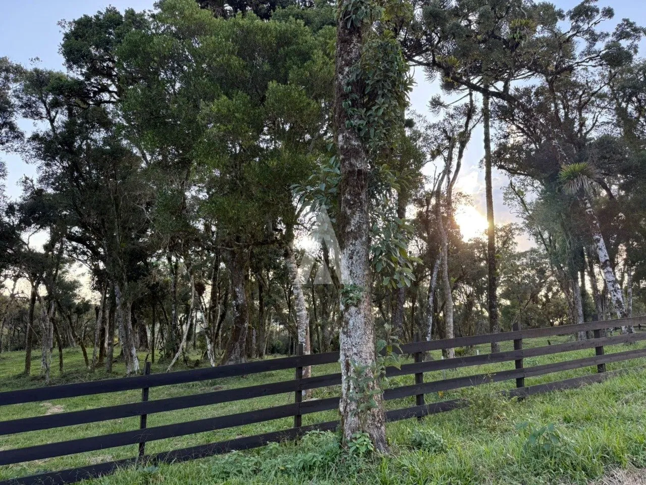 Terreno com 20.500m à venda no bairro Campo Alegre em Joinville-SC por R$1.300.000,00. — foto 6