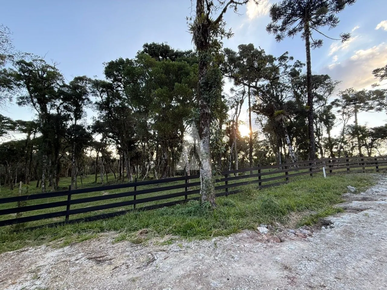 Terreno com 20.500m à venda no bairro Campo Alegre em Joinville-SC por R$1.300.000,00. — foto 7