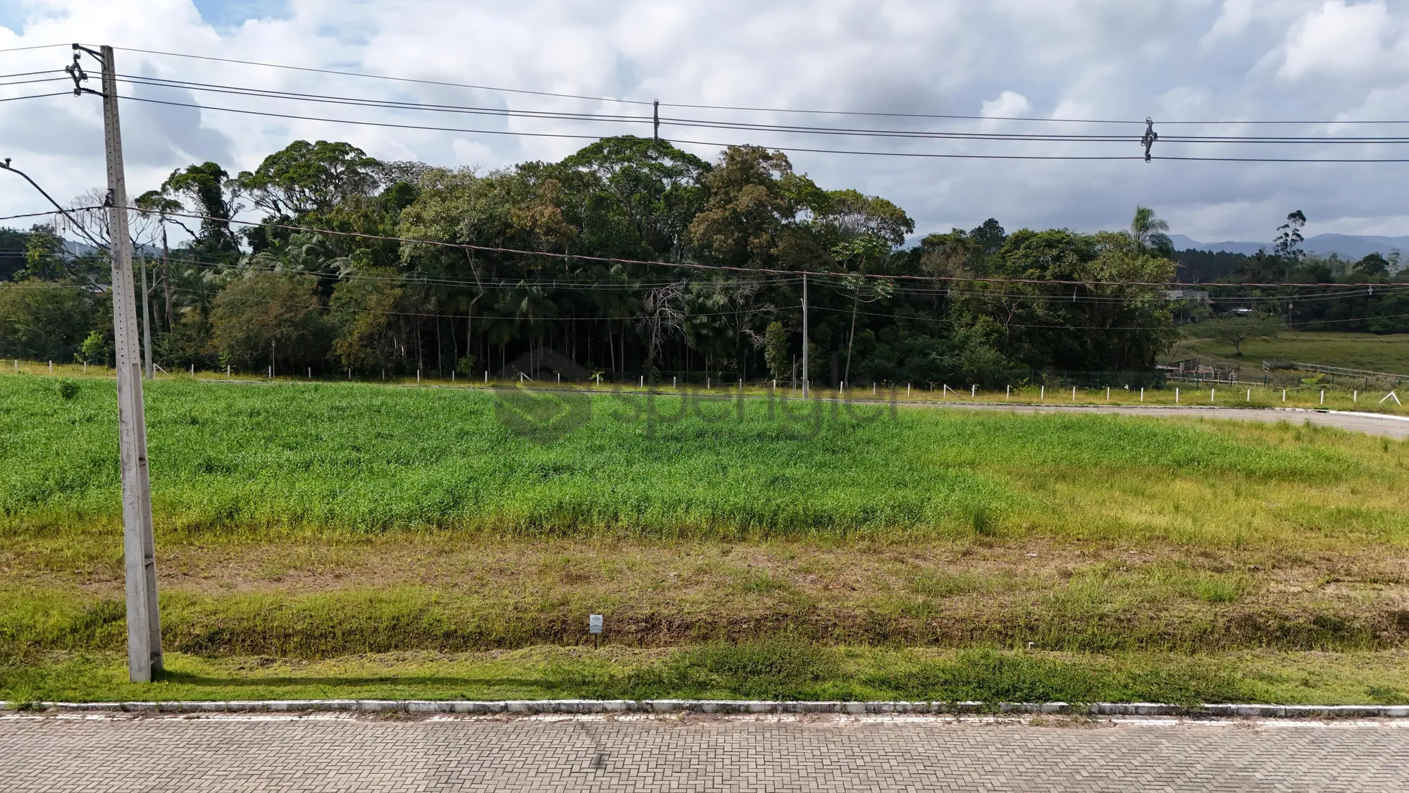 Lote plano no Loteamento Vale das Figueiras, em Gaspar REF: TE0293 — foto 4