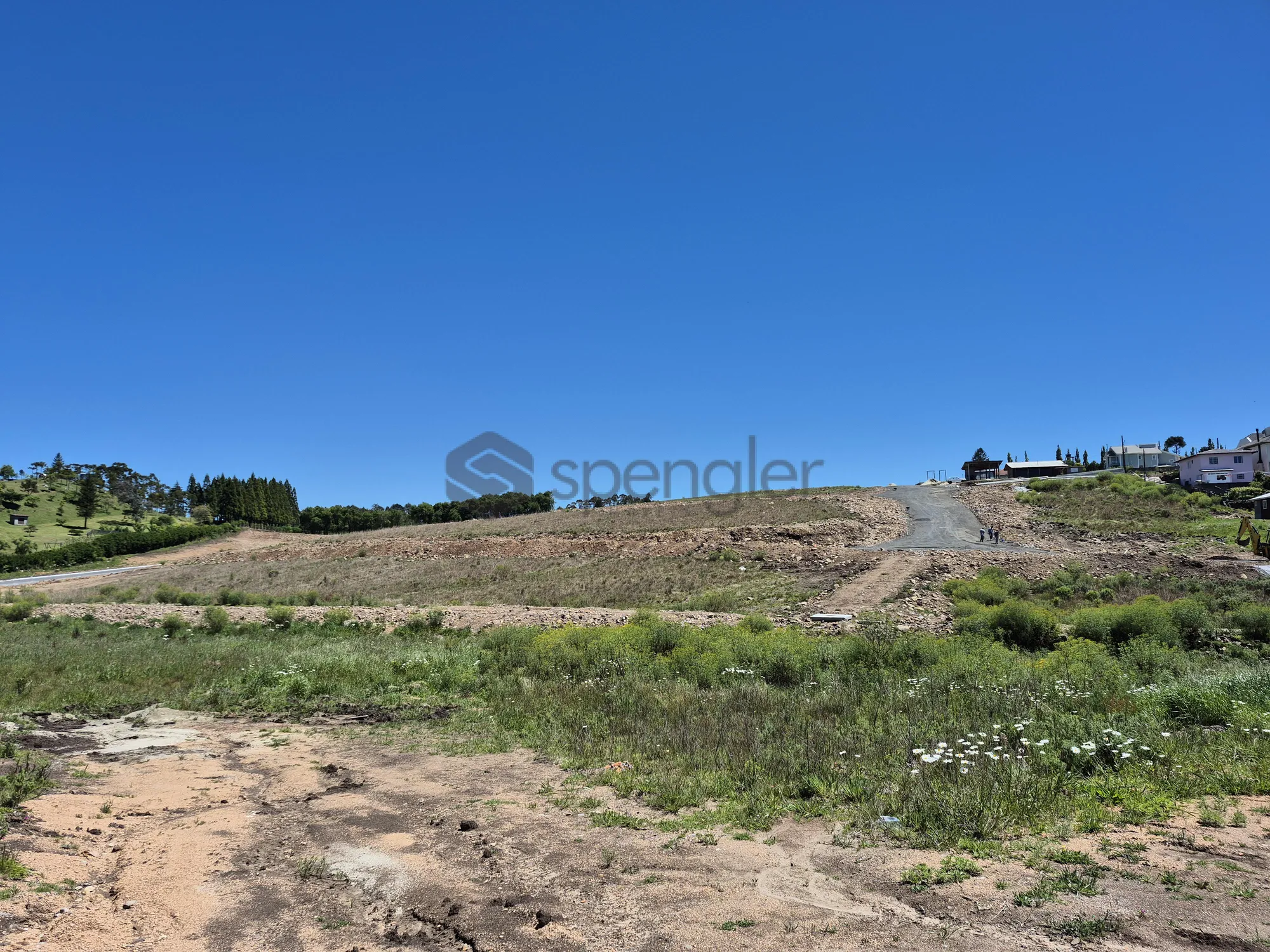 Reserva Martorano, São Joaquim/SC REF: TE0282 — foto 5