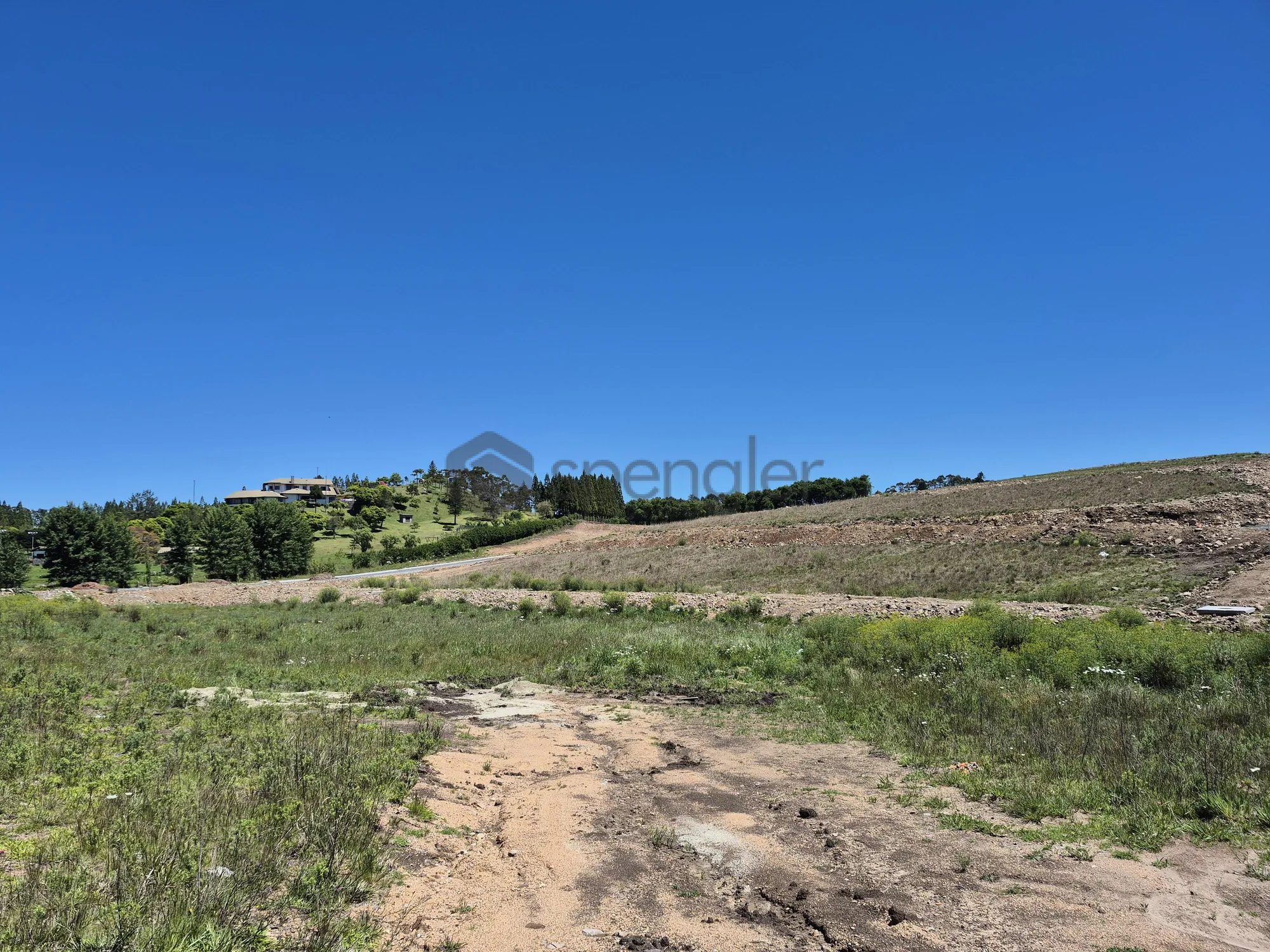 Reserva Martorano, São Joaquim/SC REF: TE0282 — foto 6