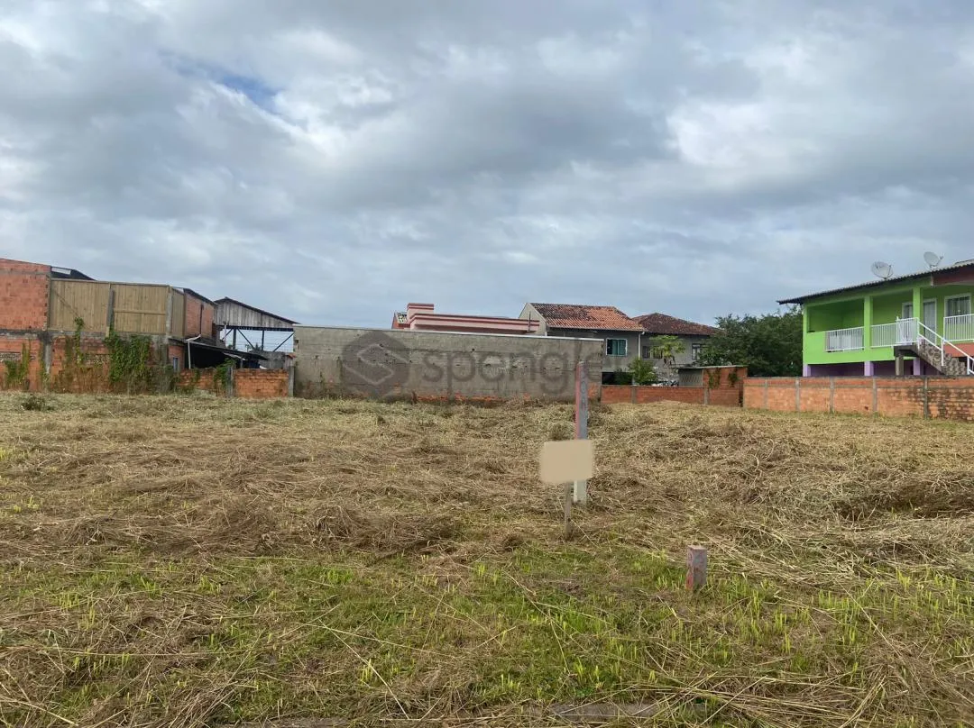 TERRENO - FIGUEIRA REF: TE0138 - foto 1