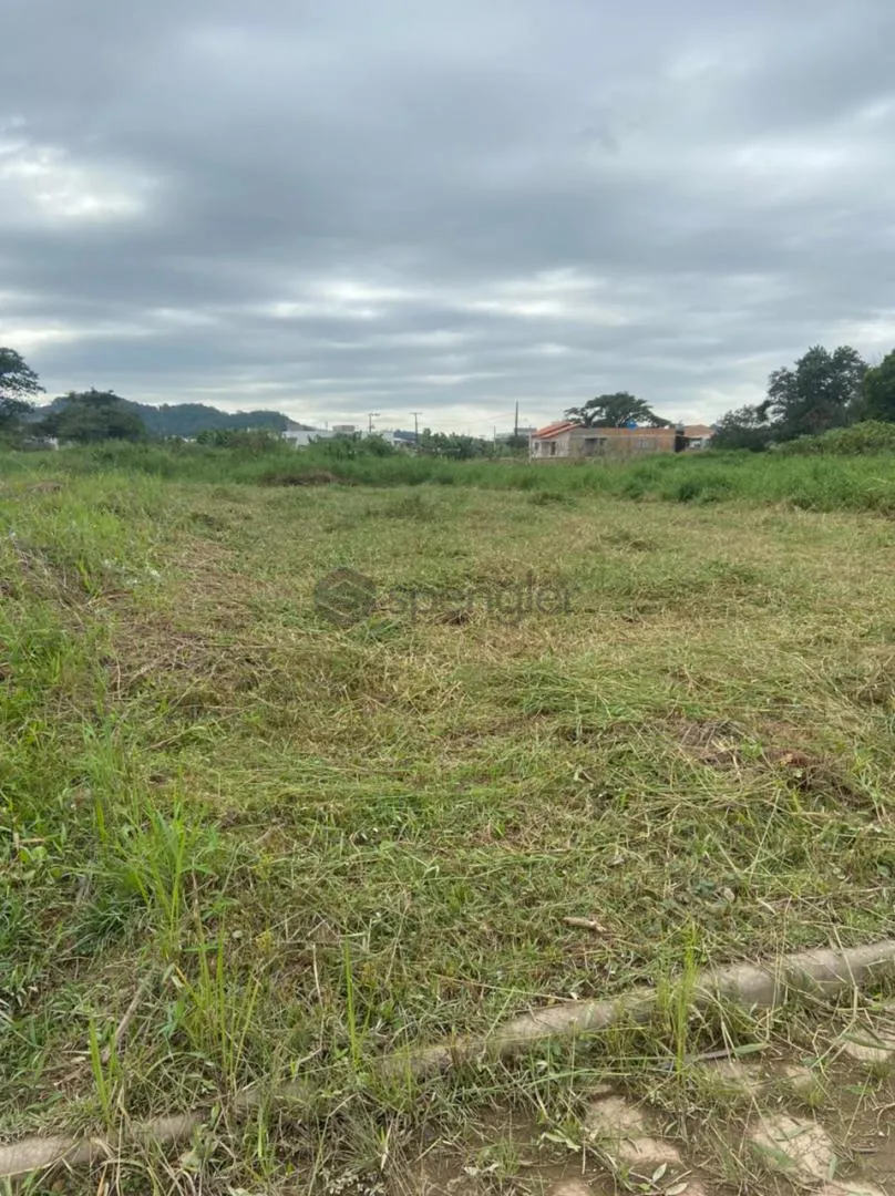 Terreno - Figueira REF: TE0143 - foto 1