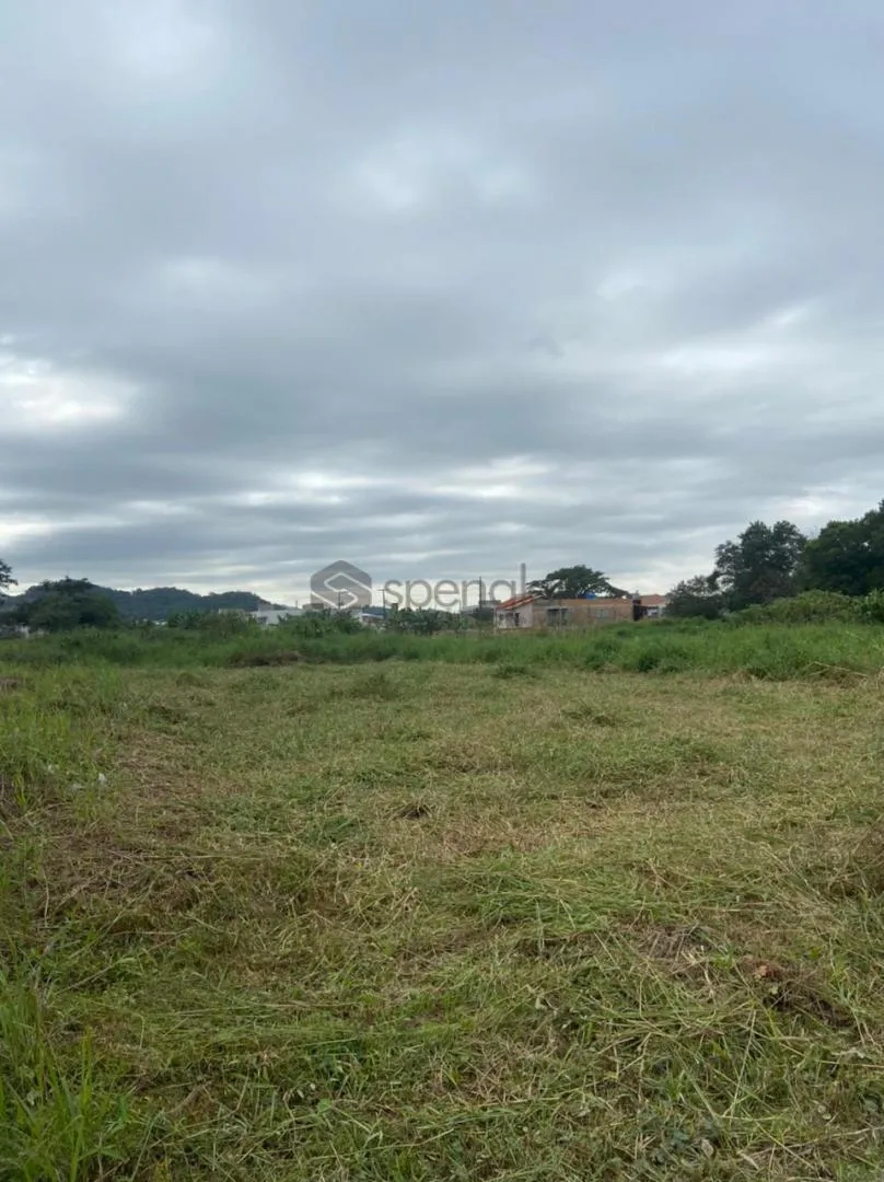 Terreno - Figueira REF: TE0143 — foto 2