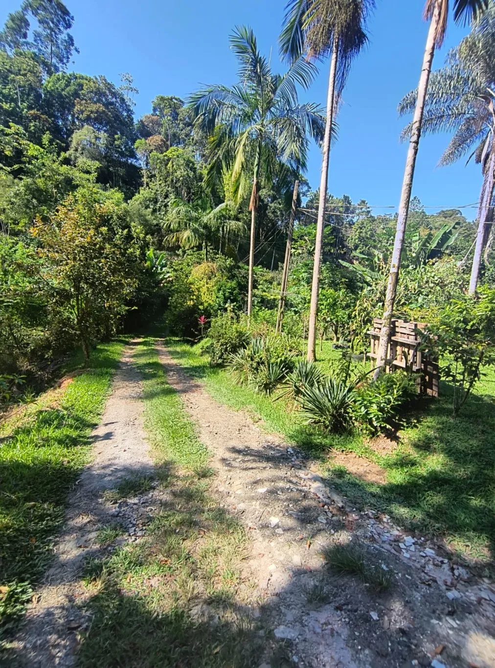 CHACARA A VENDA - POMERODE/TESTO CENTRAL - foto 1