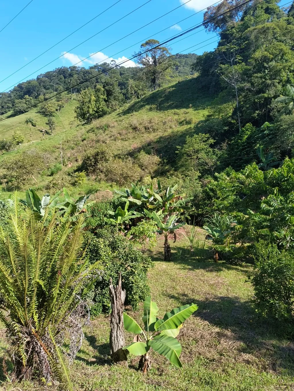 CHACARA A VENDA - POMERODE/TESTO CENTRAL — foto 7
