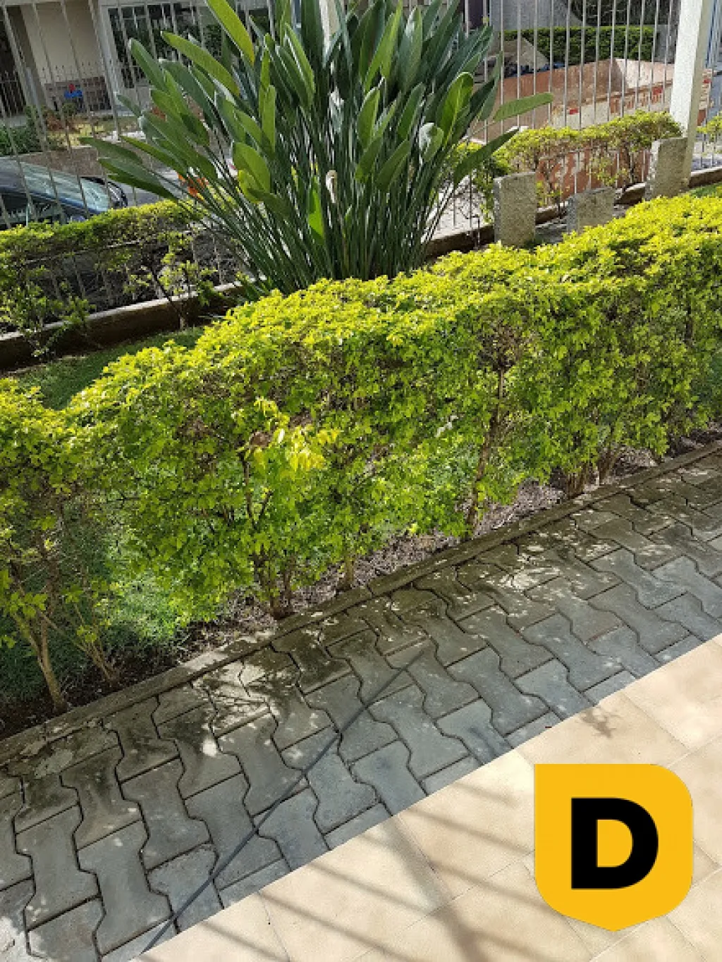 2 dormitórios na Vila Nova - É um apartamento, mas sinta-se em casa! — foto 6