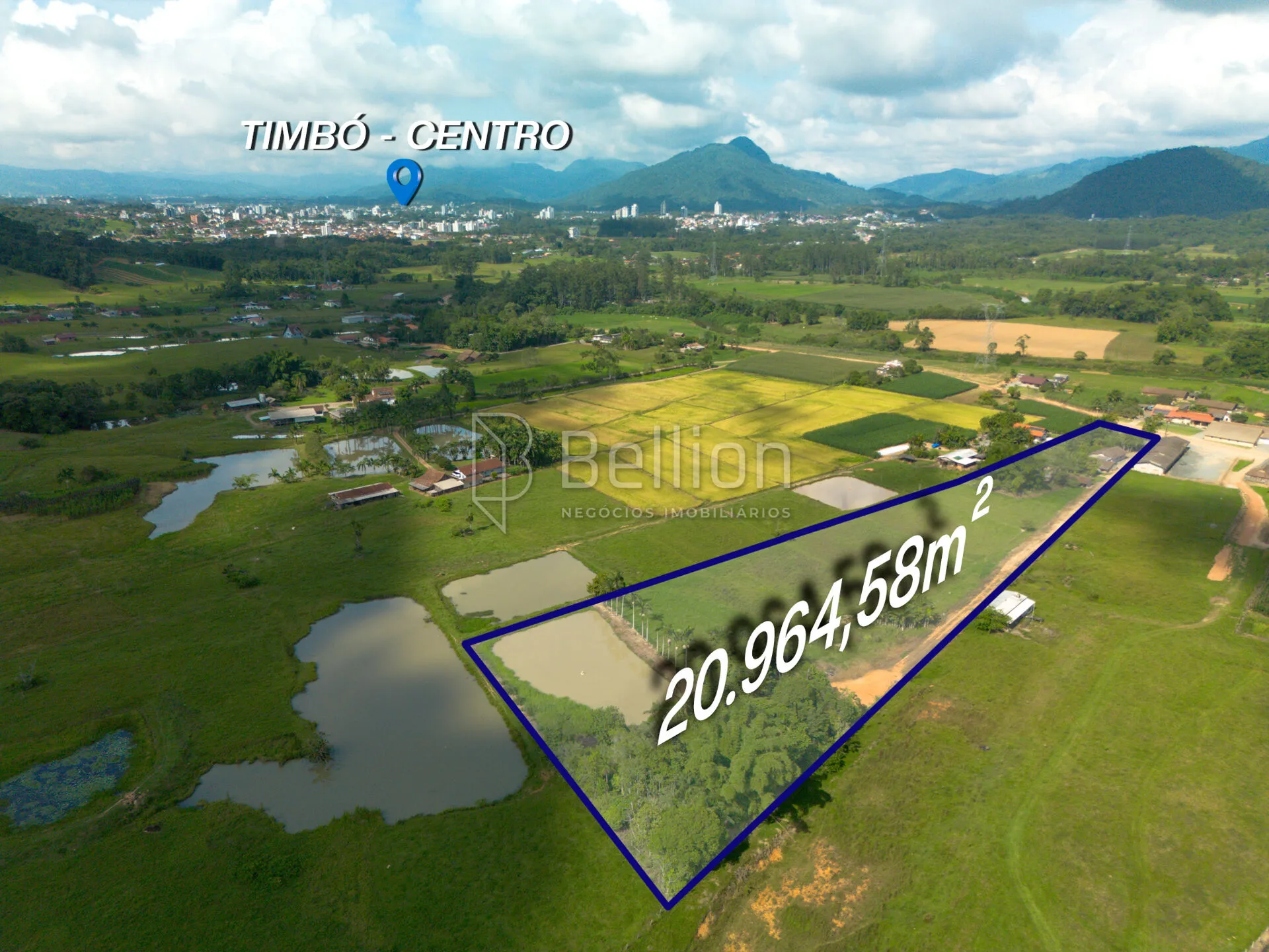 Sítio em Timbó - 20.000 m de terreno plano - foto 1