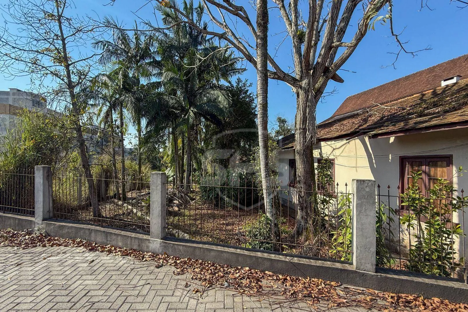 Terreno à venda, 2927 m por R$ 6.500.000,00 - Itoupava Norte - Blumenau/SC — foto 6