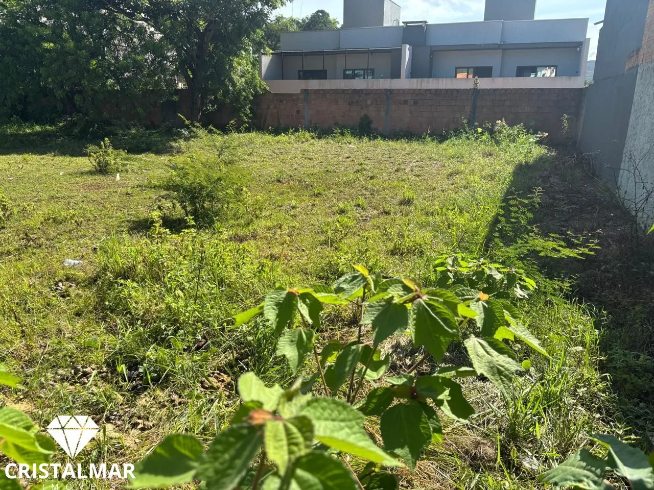 Terreno Murado, plano, Sol da manhã, 1500 metros da Praia de Bombas SC — foto 4