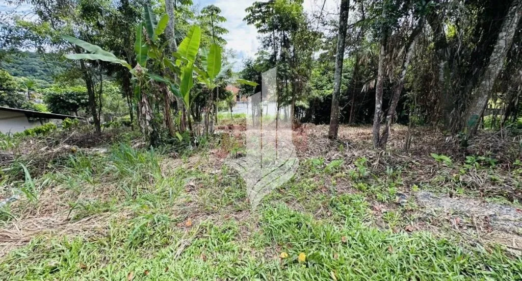 2 terrenos no bairro Fortaleza - foto 1