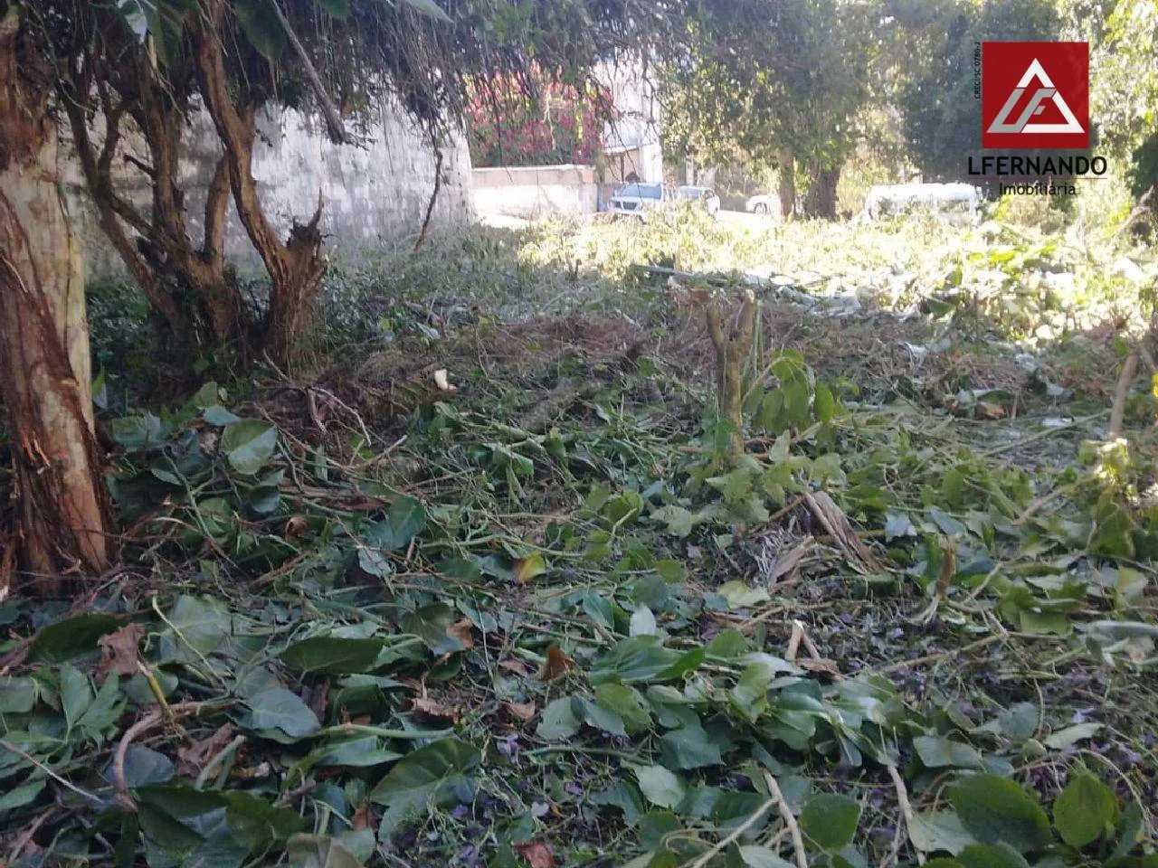 Terreno à venda, 375 m por R$ 448.000,00 - Boa Vista - Blumenau/SC — foto 4